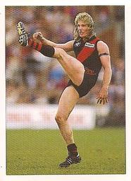 1990 Select AFL Stickers #67 Greg Anderson Front